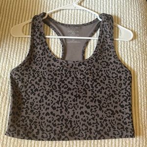 Evolution and Creation Size M